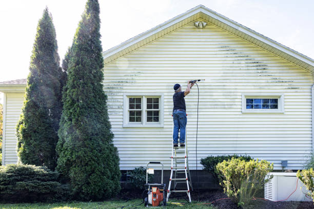 Best Sidewalk and Walkway Cleaning  in Hometown, PA